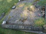 image of grave number 557770